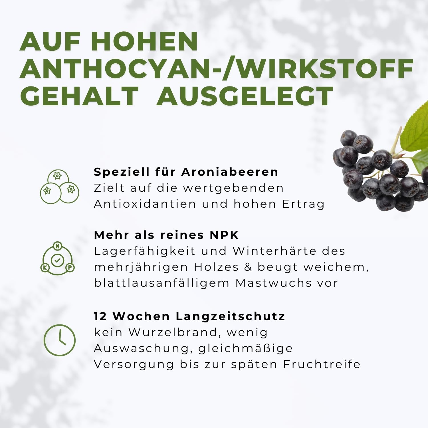 Flora Boost PRO Aronia Dünger mit Langzeitwirkung, 5KG Granulat