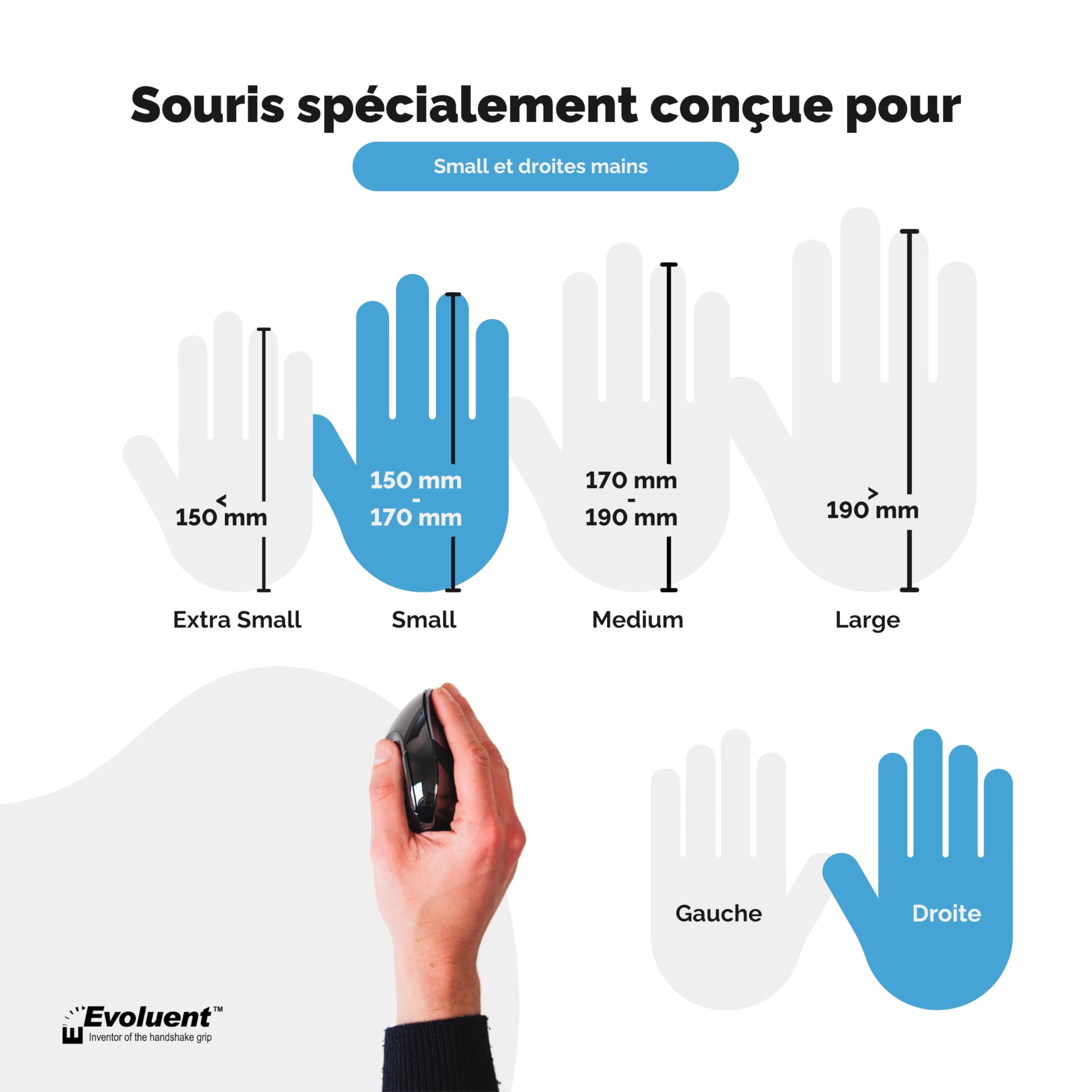 Evoluent VerticalMouse D Souris USB sans Fil pour droitier Petit modèle