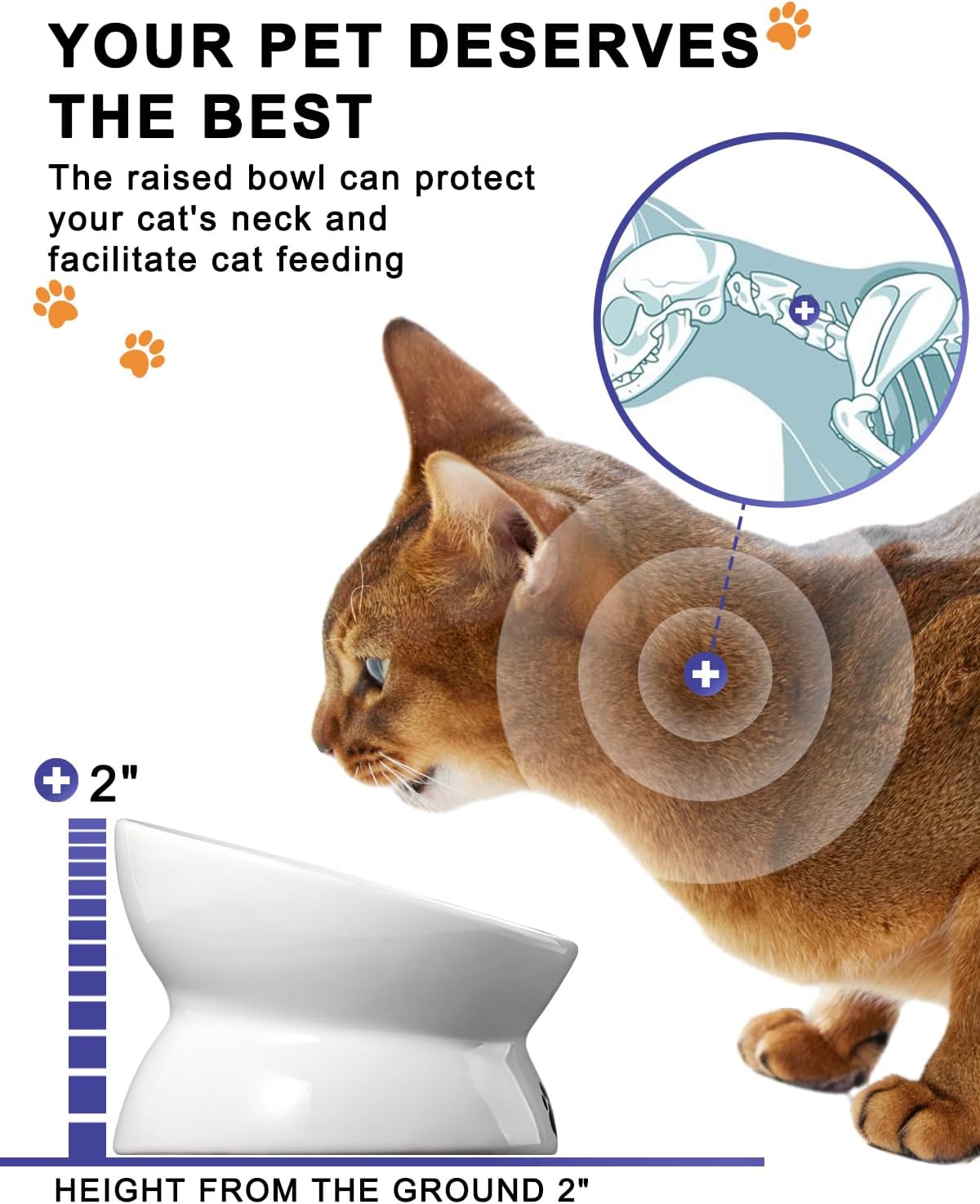 Elevated Tilted Ceramic Cat Bowl for Flat-Faced Pets