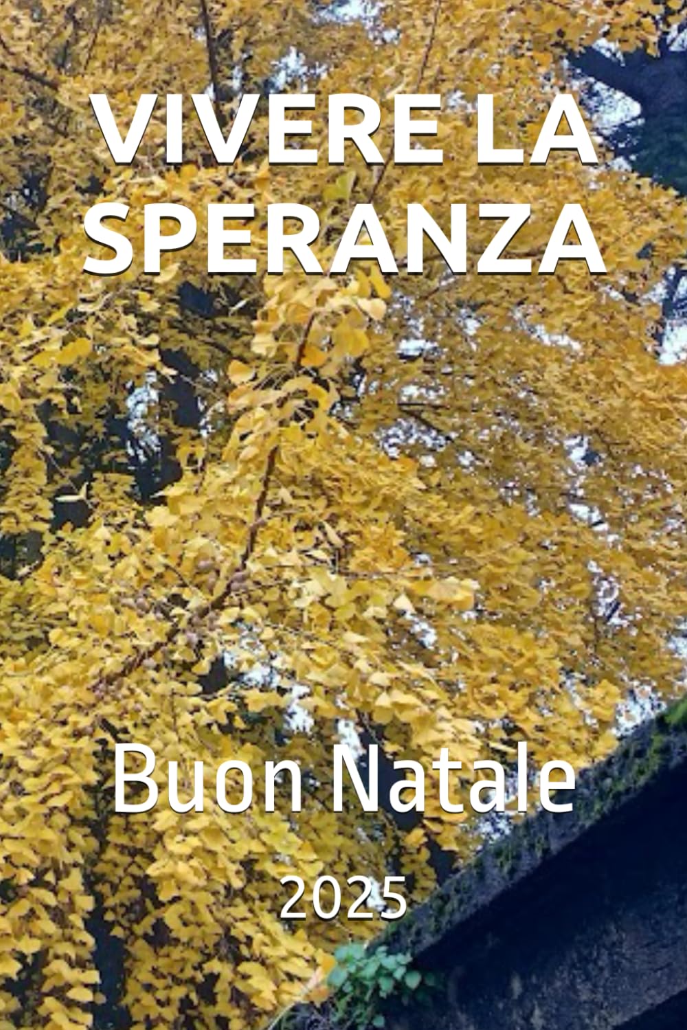 VIVERE LA SPERANZA: Buon Natale 2025