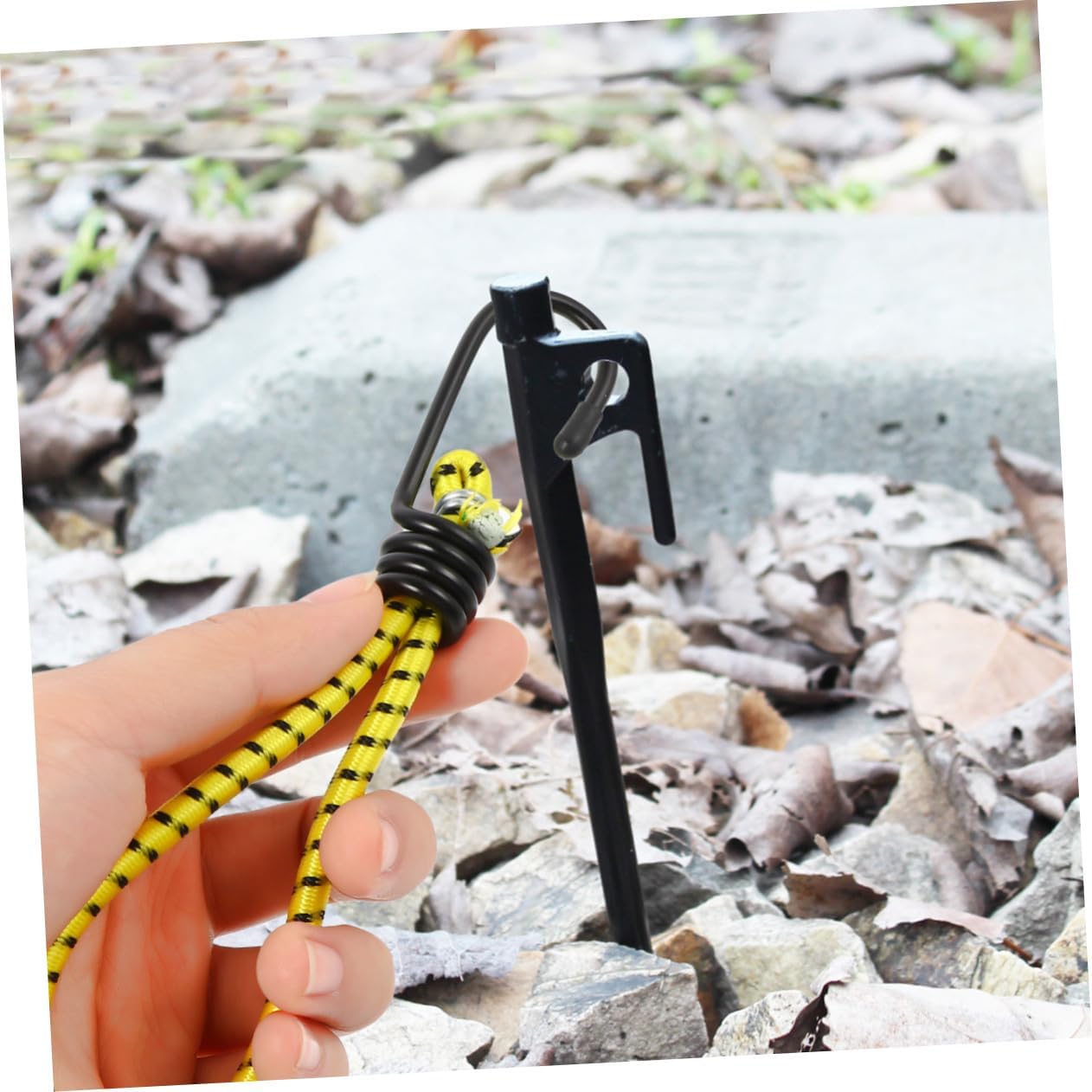 Toddmomy 10pcs Multi-Purpose Tent Ropes Elastic Pull Rope Hook Fixing Cord Hook for Camping Tent Buckle Random Color