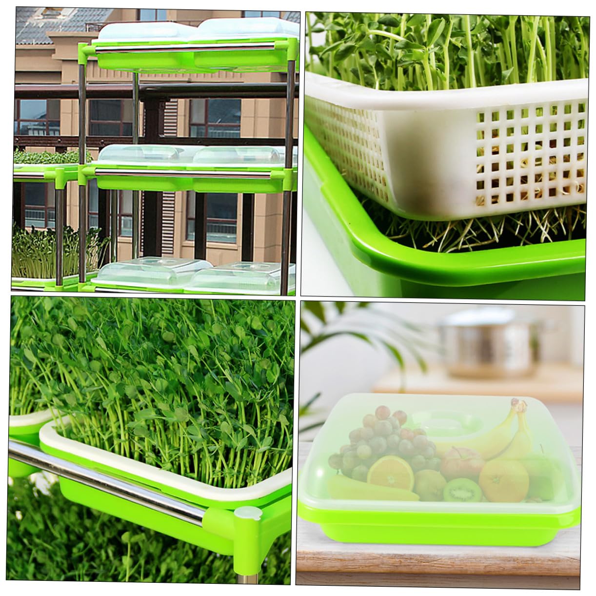 Bandeja para Germinadores Verde Tapa, 2 Juegos de Plástico | Cultivo sin Tierra, Conservación de Humedad, Diseño Seguro para Semilleros y Brotes Estilo Aleatorio