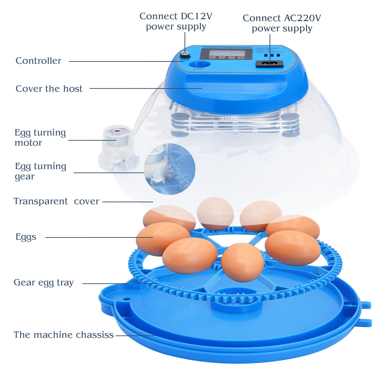 Incubadora Huevos Gallina Automatica,Incubadora Para 8 Huevos, Incubadora Para Giro AutomáTico de Huevos y Control de Temperatura, Pantalla LED Digital, Adecuada Para Patos Gansos Palomas Codornices
