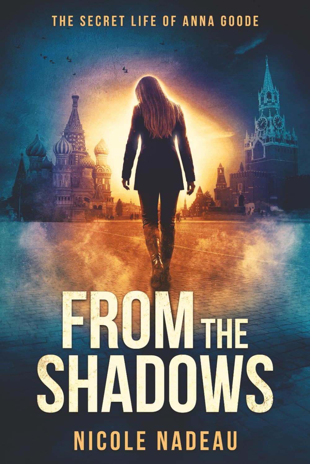 From the Shadows (The Secret Life of Anna Goode)