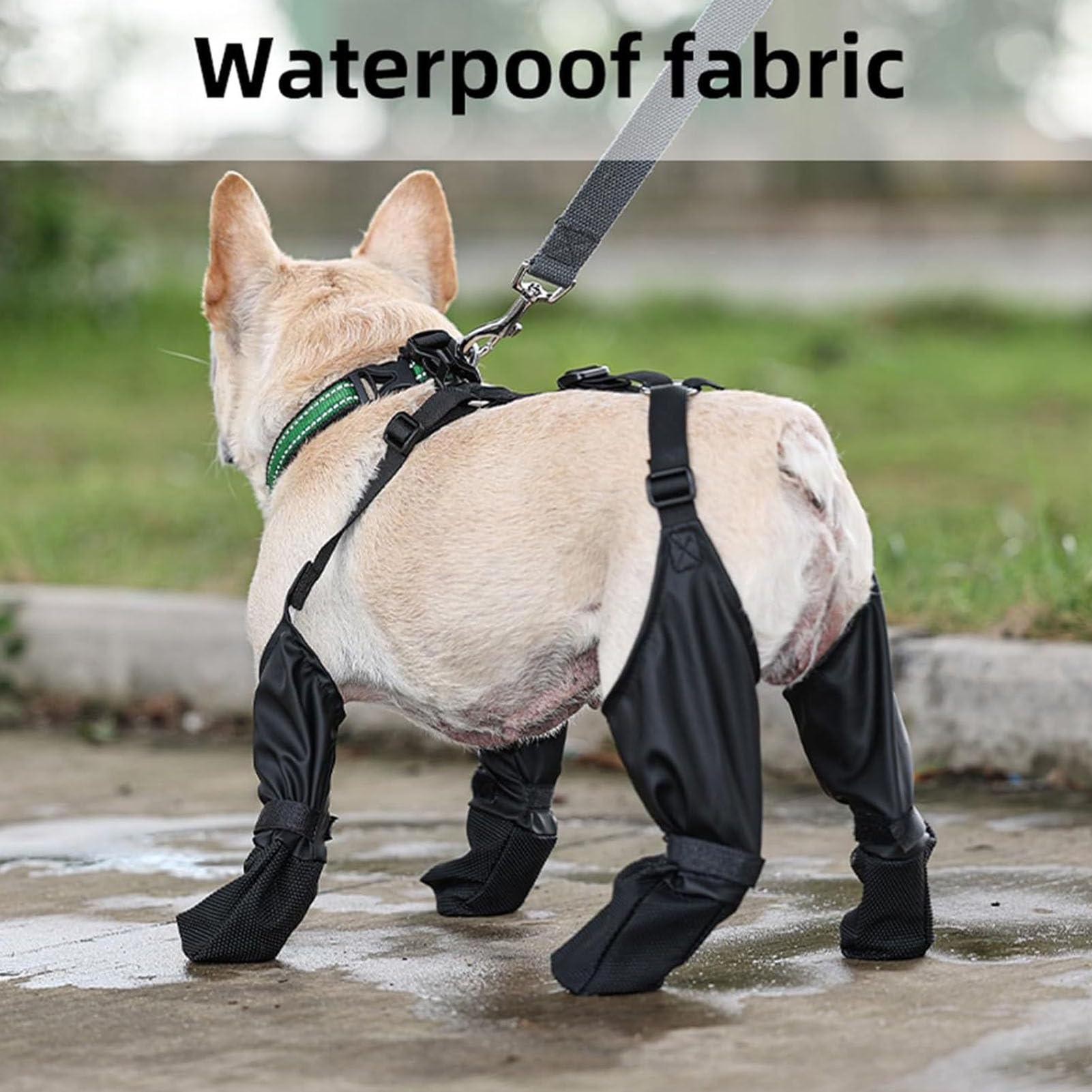 Stivali per Cani con Leggings, Stivali per Zampe per Cani da Esterno, Scarpe Impermeabili per Cani per Passeggiate Invernali all'aperto in Giornate Innevate (S)
