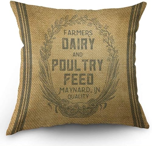 Funda de almohada con dibujo de cerebro 18x18 pulgadas, u-12, 18*18