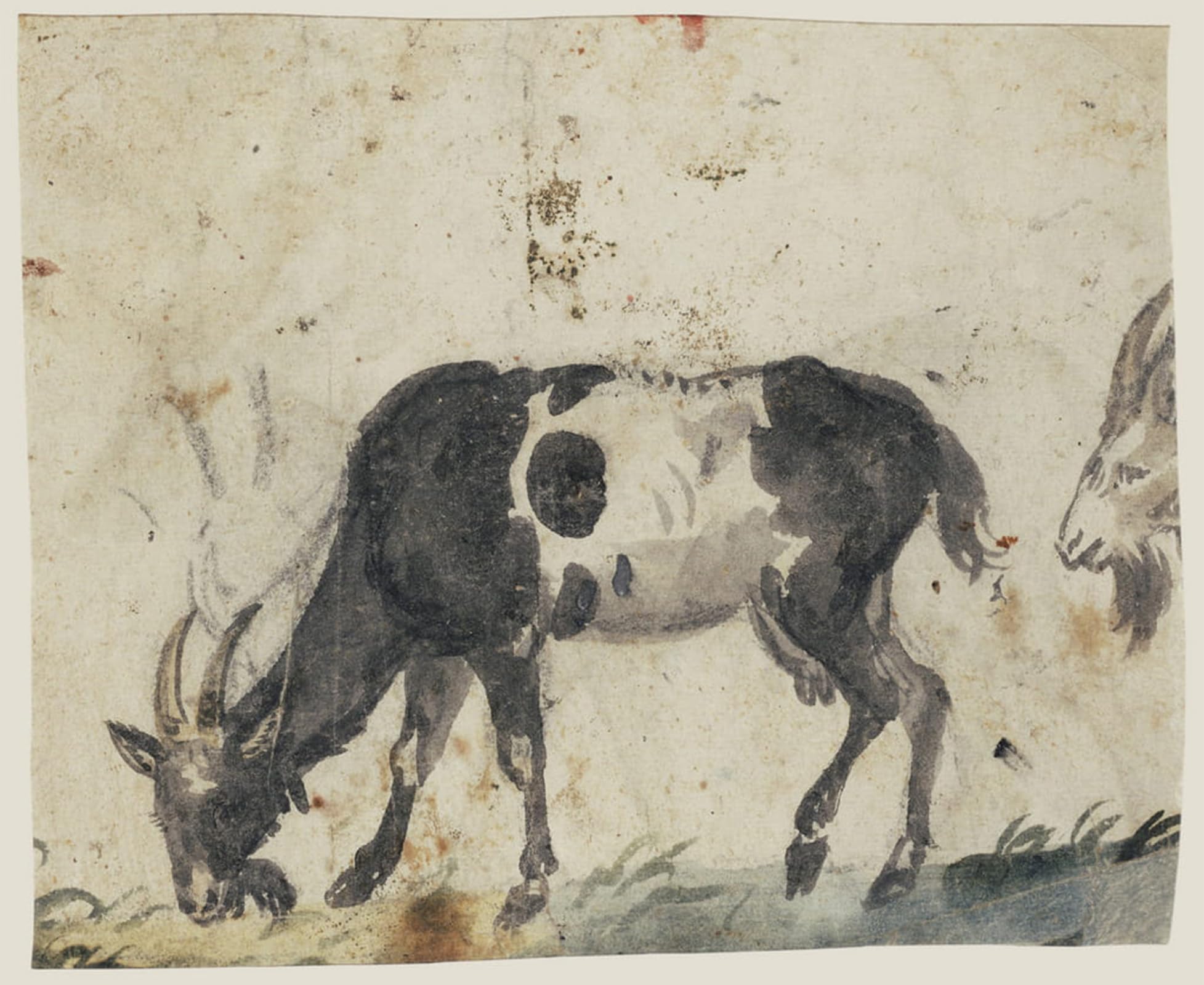 Lucas il Vecchio Cranach Pinturas Murales Studio di Capre Póster para Pared Vacía 5