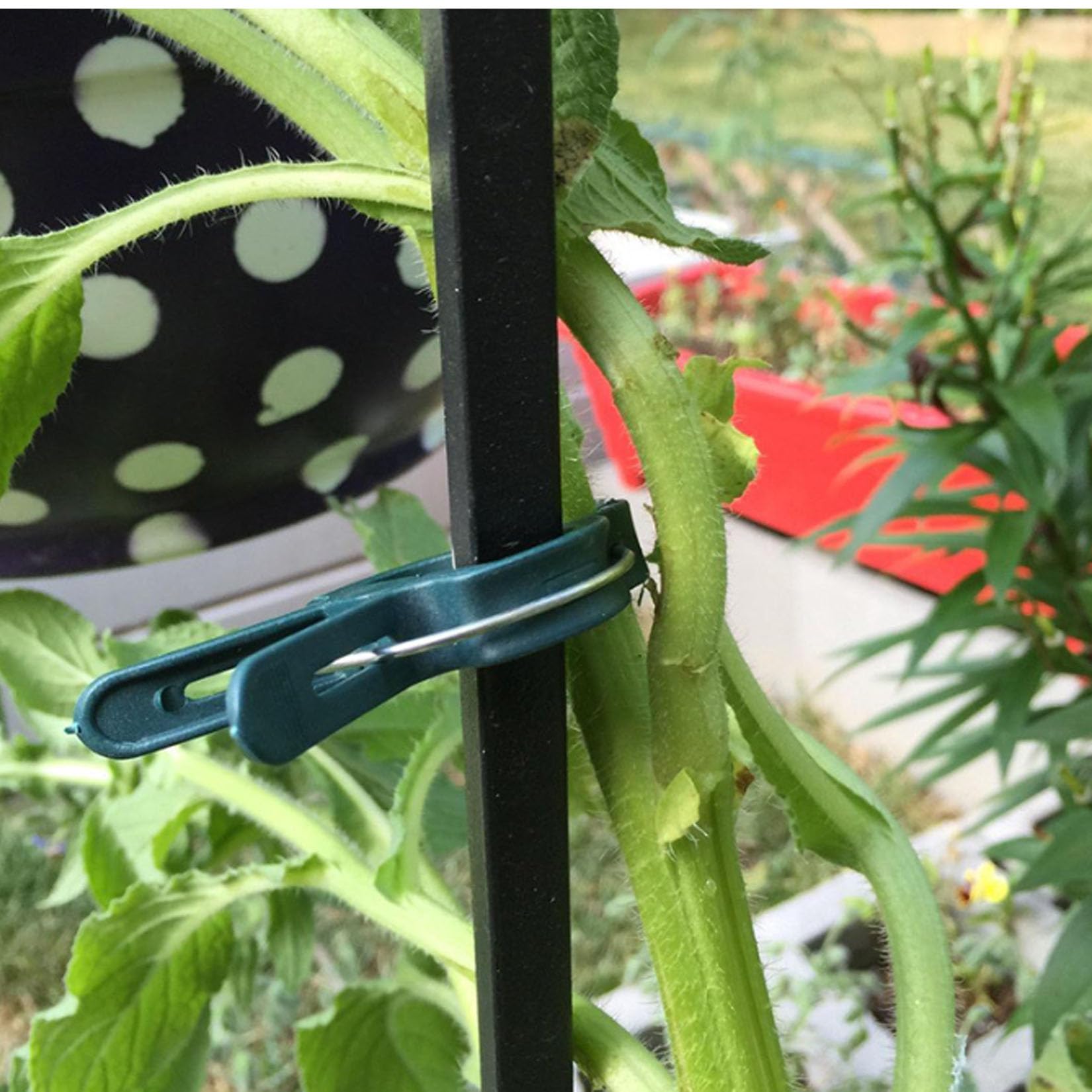 Amazon.co.jp: 誘引クリップ40pcs 植物クリップ2サイズ 園芸 支柱 