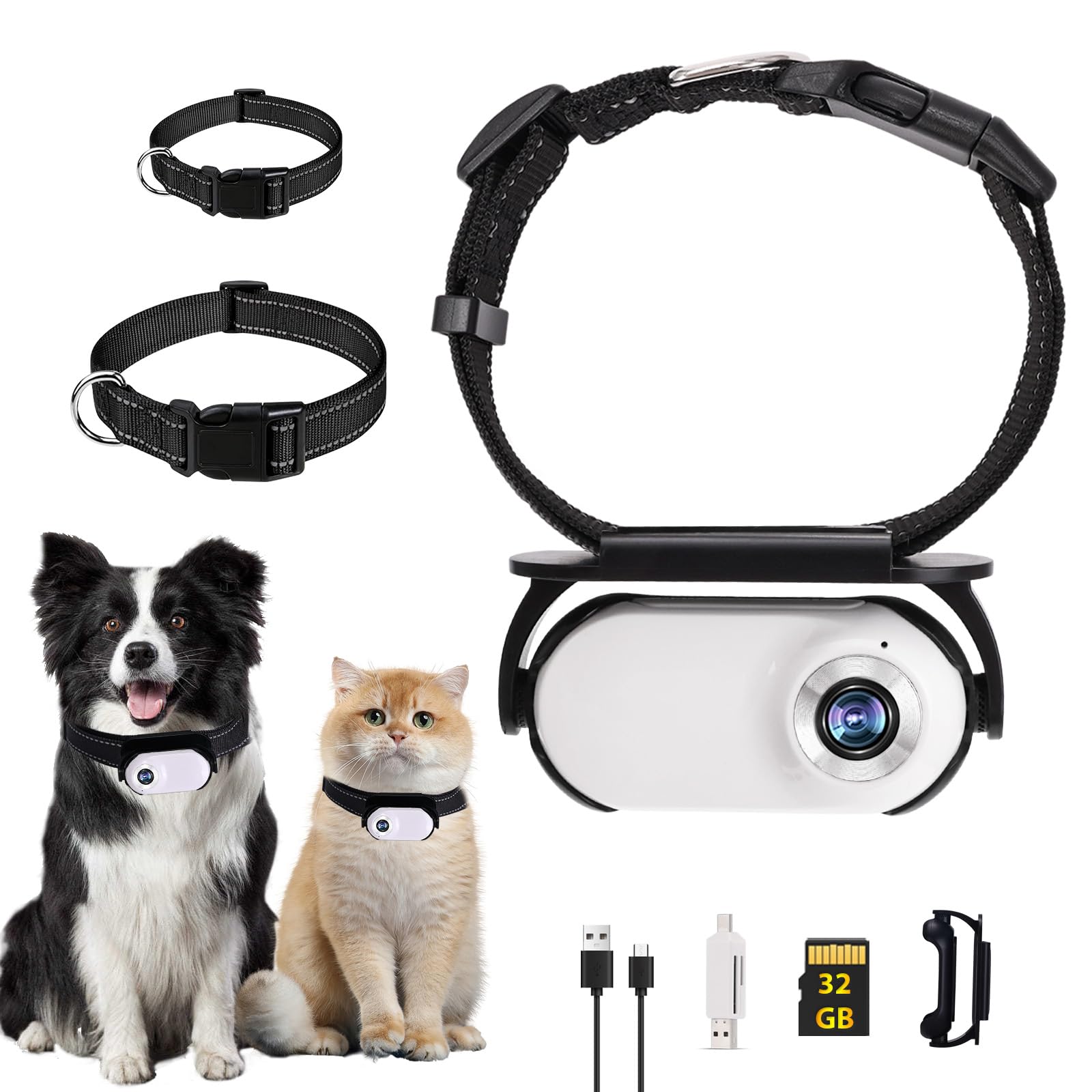 Collier de caméra pour chat 32 G HD 1080P pour chien avec carte SD