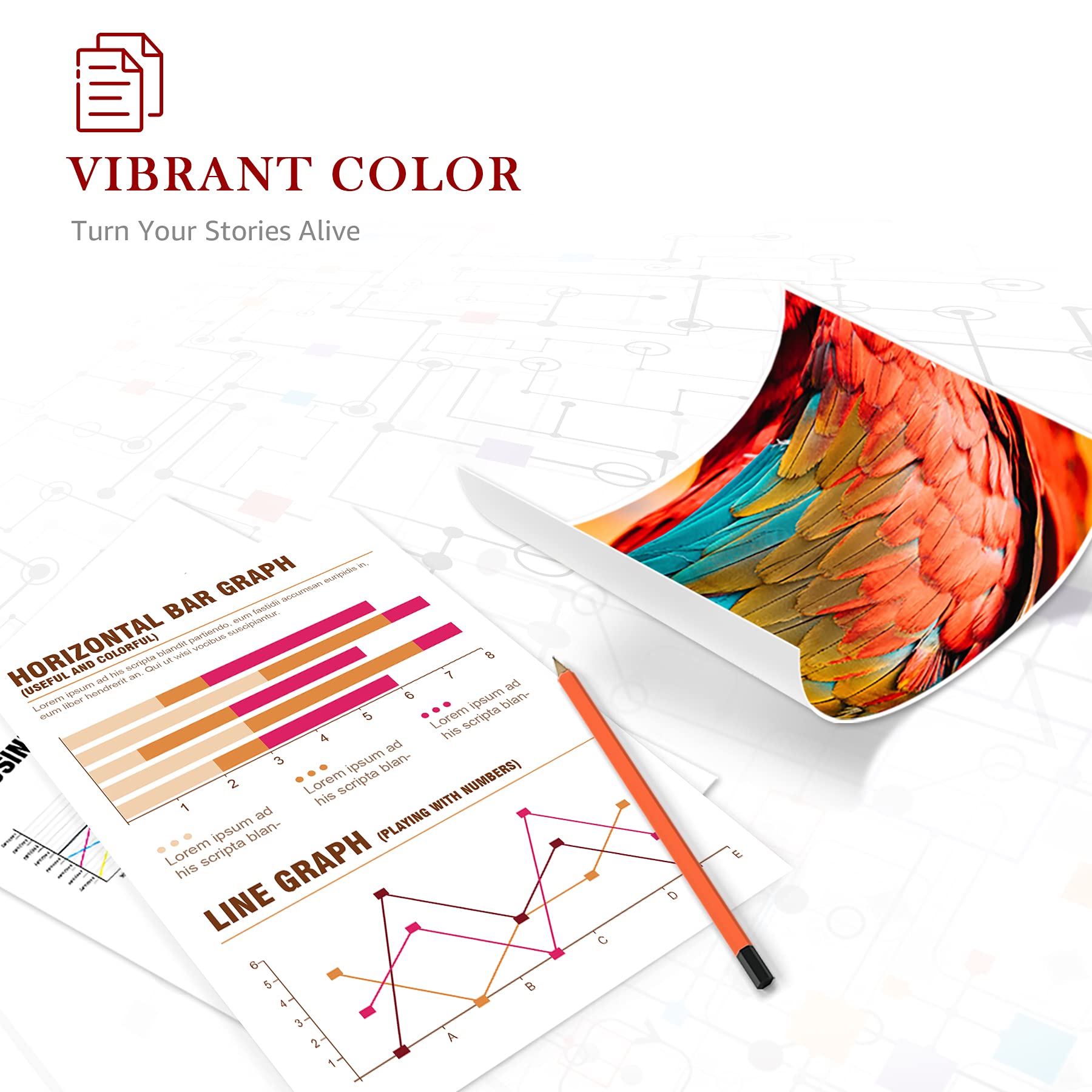 Toner Kingdom Compatibile per Epson 27XL 27 XL cartuccie pour Workforce WF-7610 WF-3620 WF-7620 WF-7720 WF-7715 WF-7210 WF-3640 WF-7710 WF-7110 (6 Nero 3 Magenta 3 Ciano 3 Giallo)