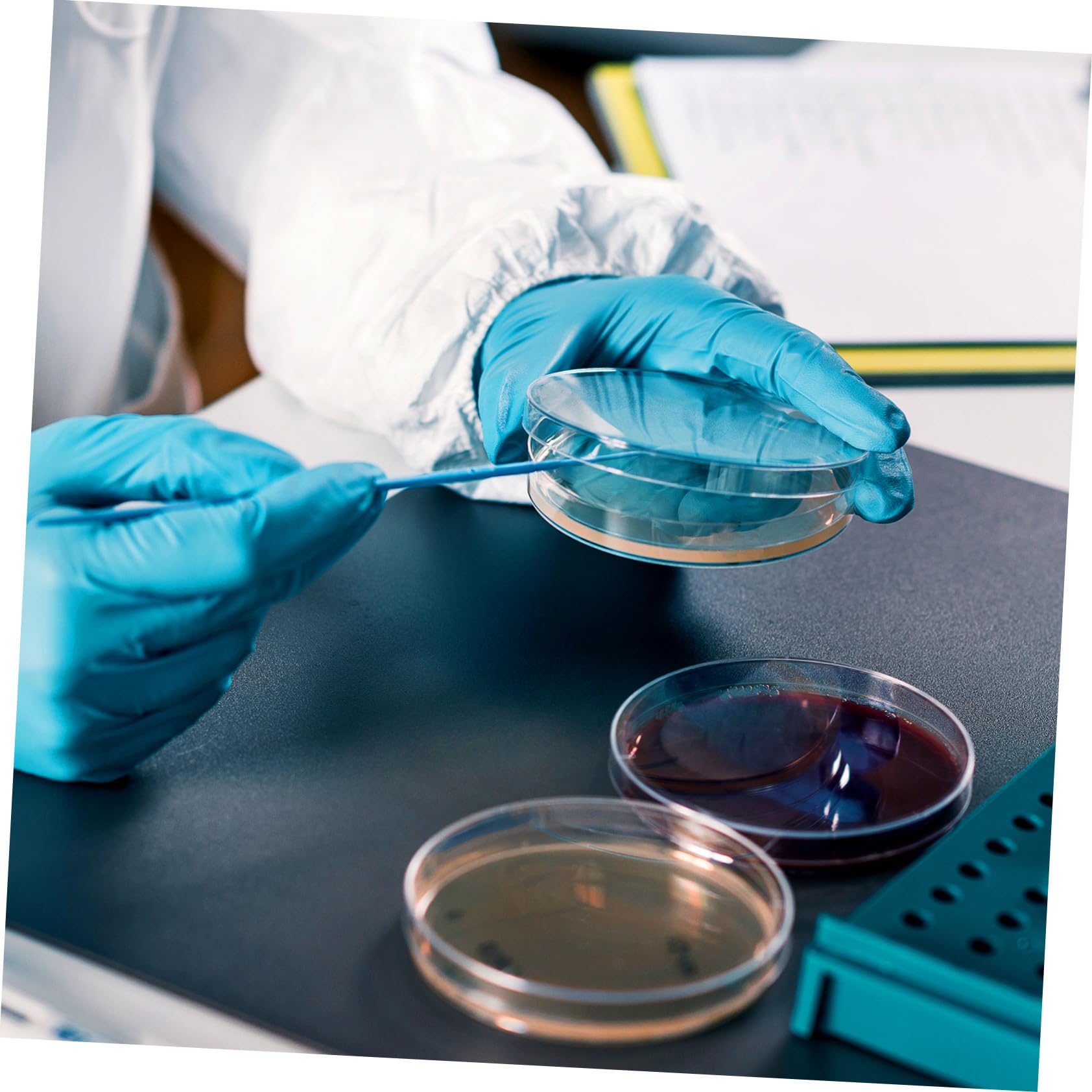 20 pezzi Piastre Petri con Agar Preversato per Esperimenti Scientifici Piastre Nutrienti Portatili e Facili da Usare per Crescita Microbiologica e Attività Didattiche in