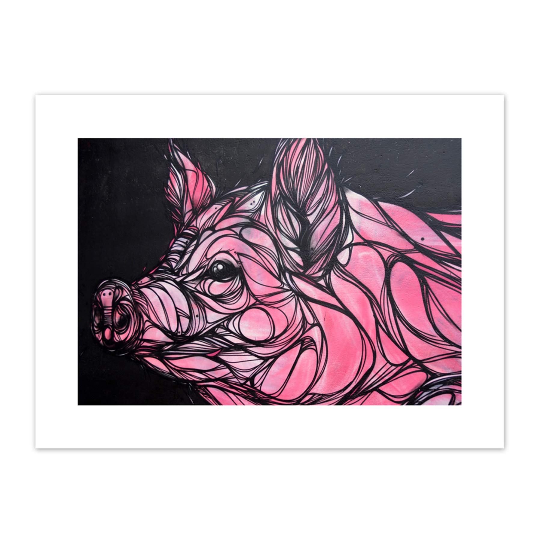 Graffiti Pig Piglet Canvas Wall Art Print
