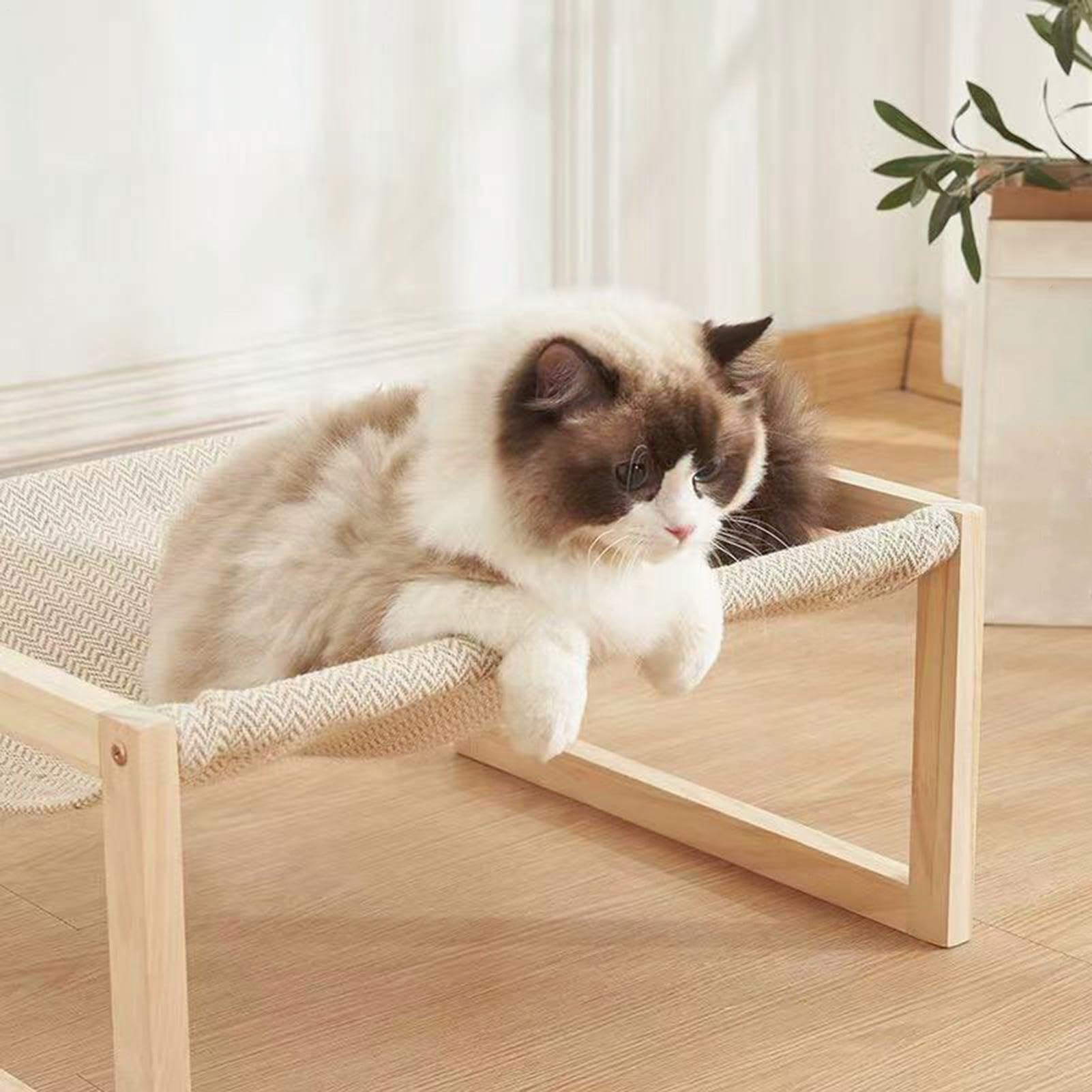 Cama elevada desmontable para perros