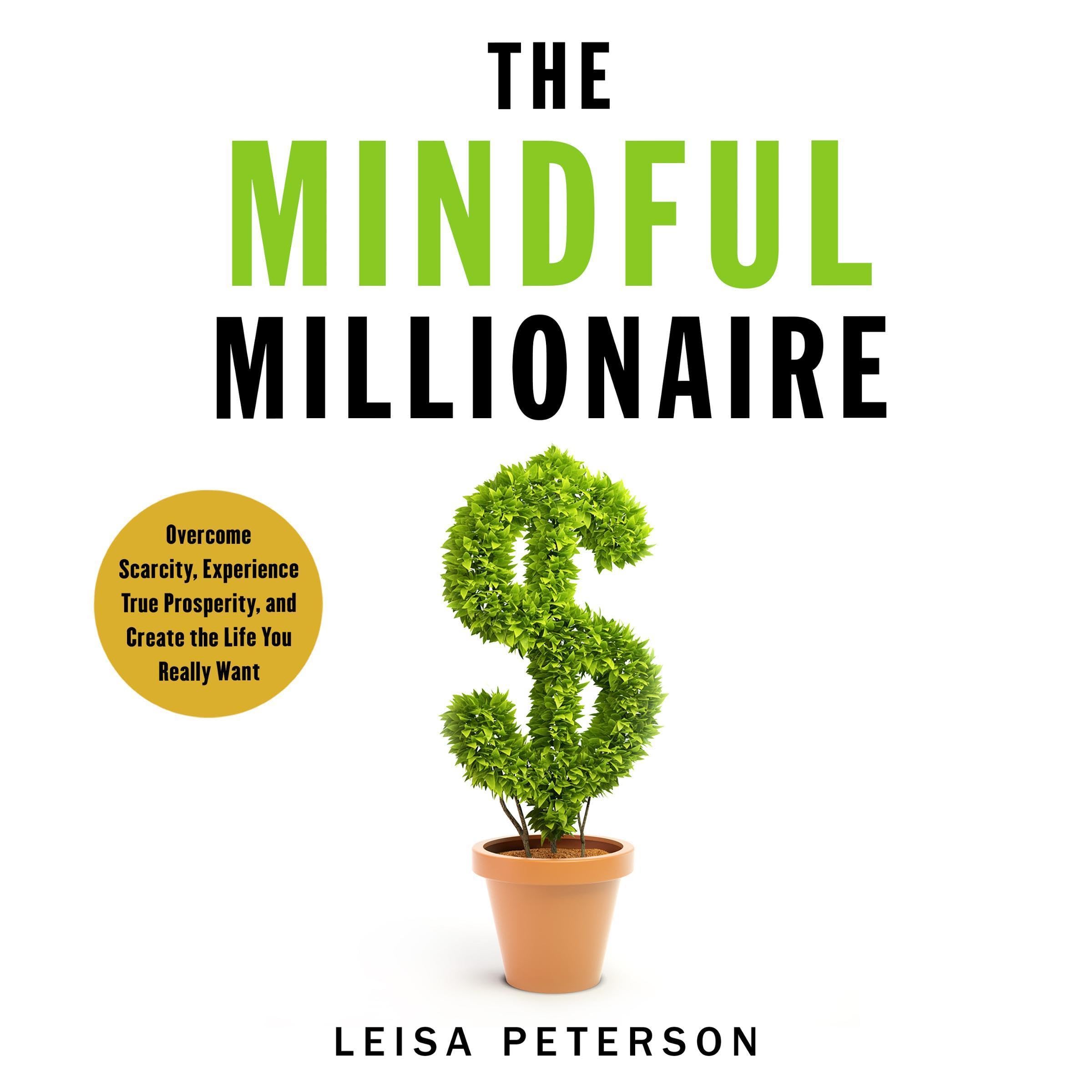 Cover art for The Mindful Millionaire