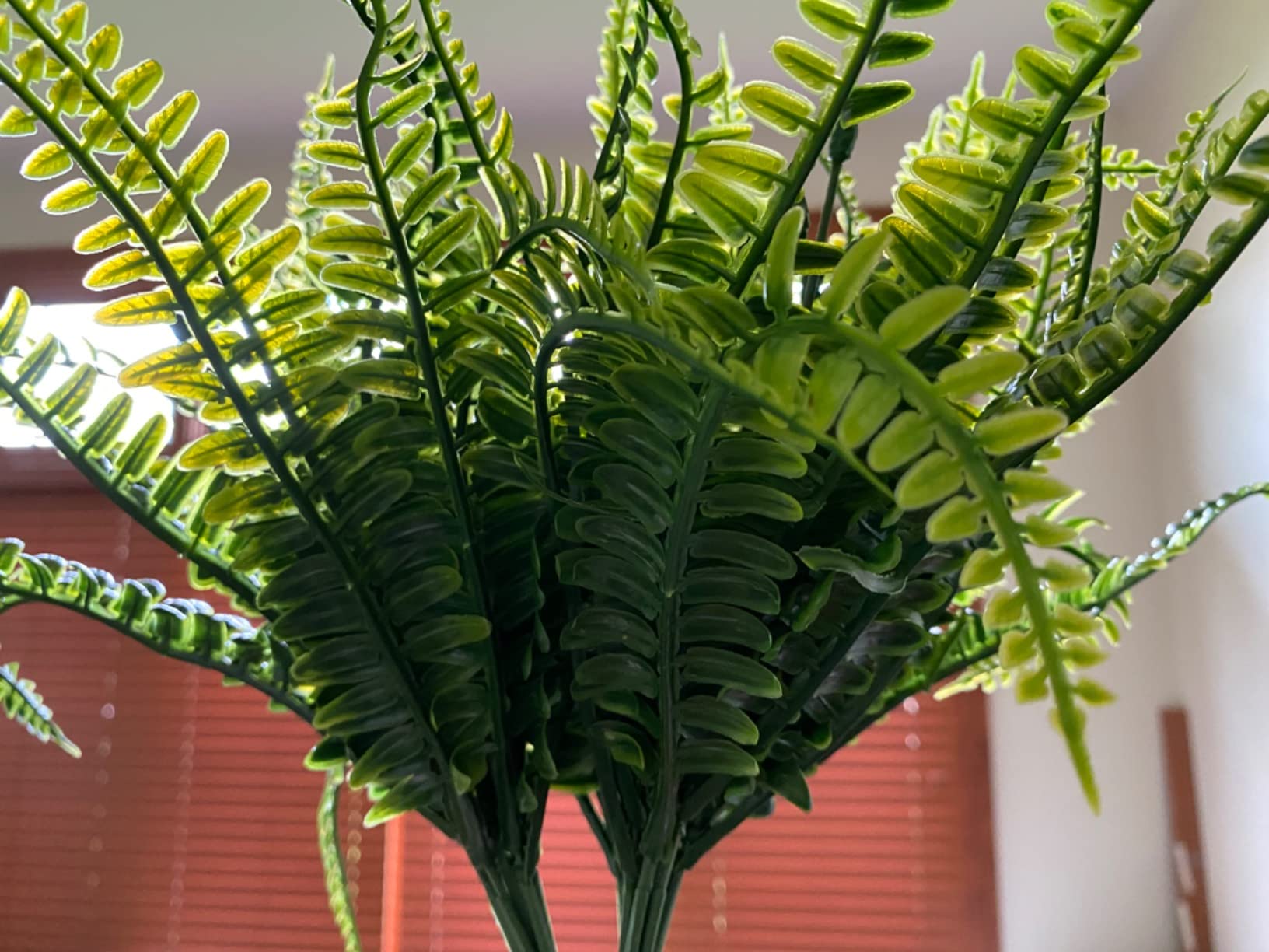 9/mo Finance AUMVEYI 40 Pcs Artificial Boston Fern Plants Bushes