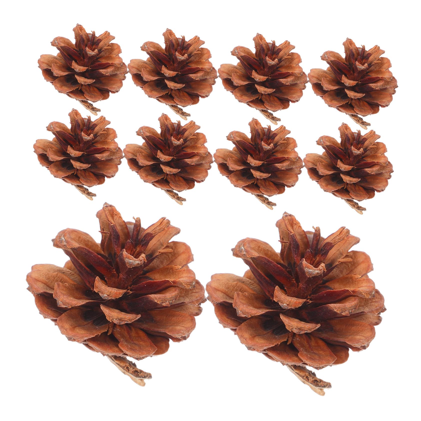 IMIKEYA 130stücke Mini-tannenzapfen Kleine Tannenzapfen für Herbst-DIY-bastelarbeiten Thanksgiving-vasenfüller Winter-weihnachtsdeko Hochzeits-Dekorationen
