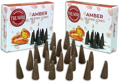Conos de incienso ámbar Total de 20 conos de incienso Paquete doble de 10 conos de insencia Conos de incienso perfumados Aromas de incienso