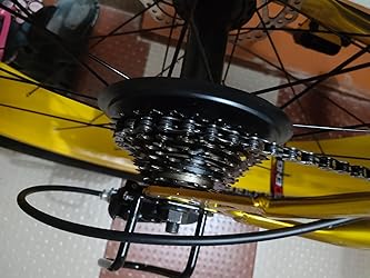 love freedom jaguar cycle