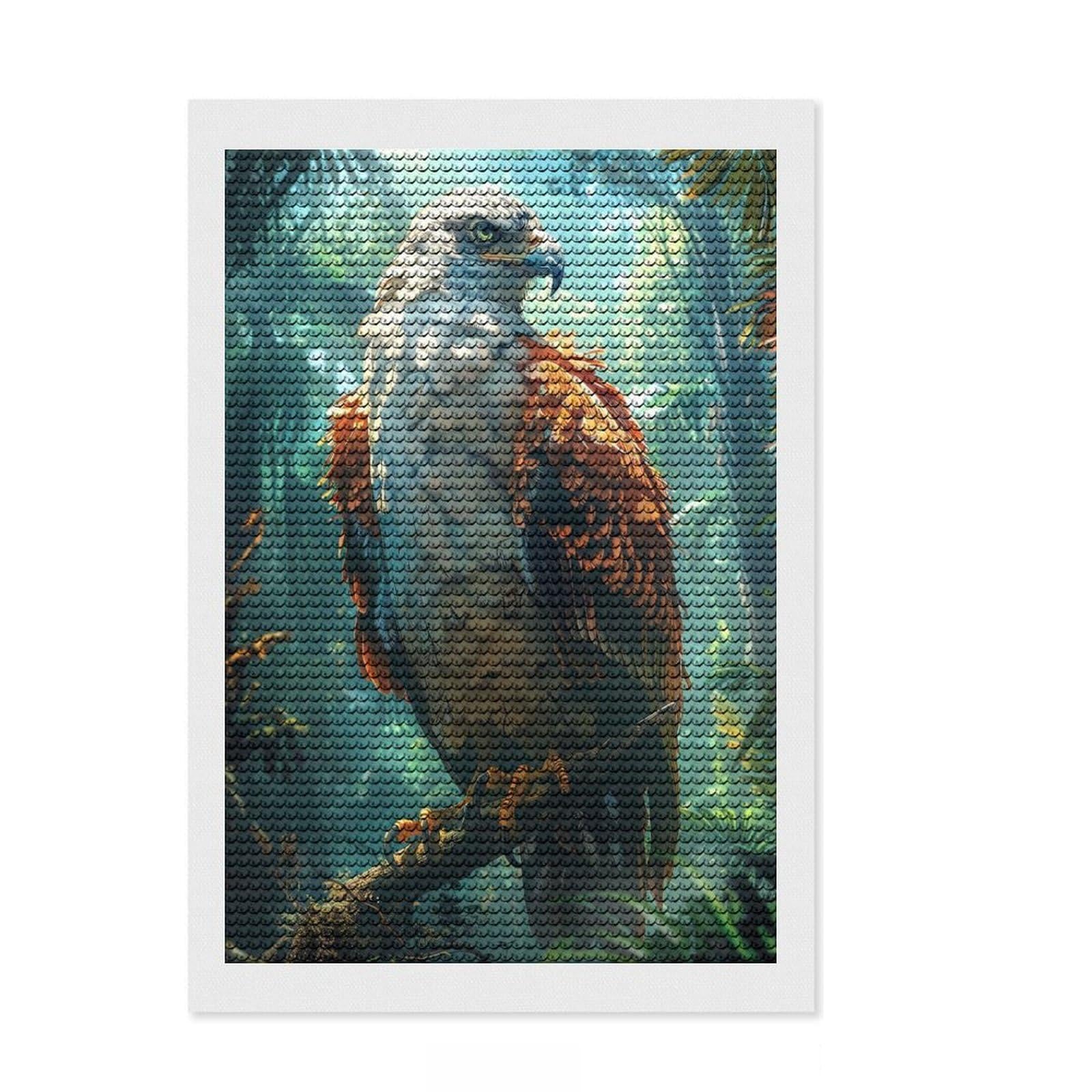 Junmoney Tropical Rain Forest Eagle Diamond Painting Kit 8"x12", Decorate Your Room, Neat Printed Canvas, Adhesive Canvas, Bedroom Decor