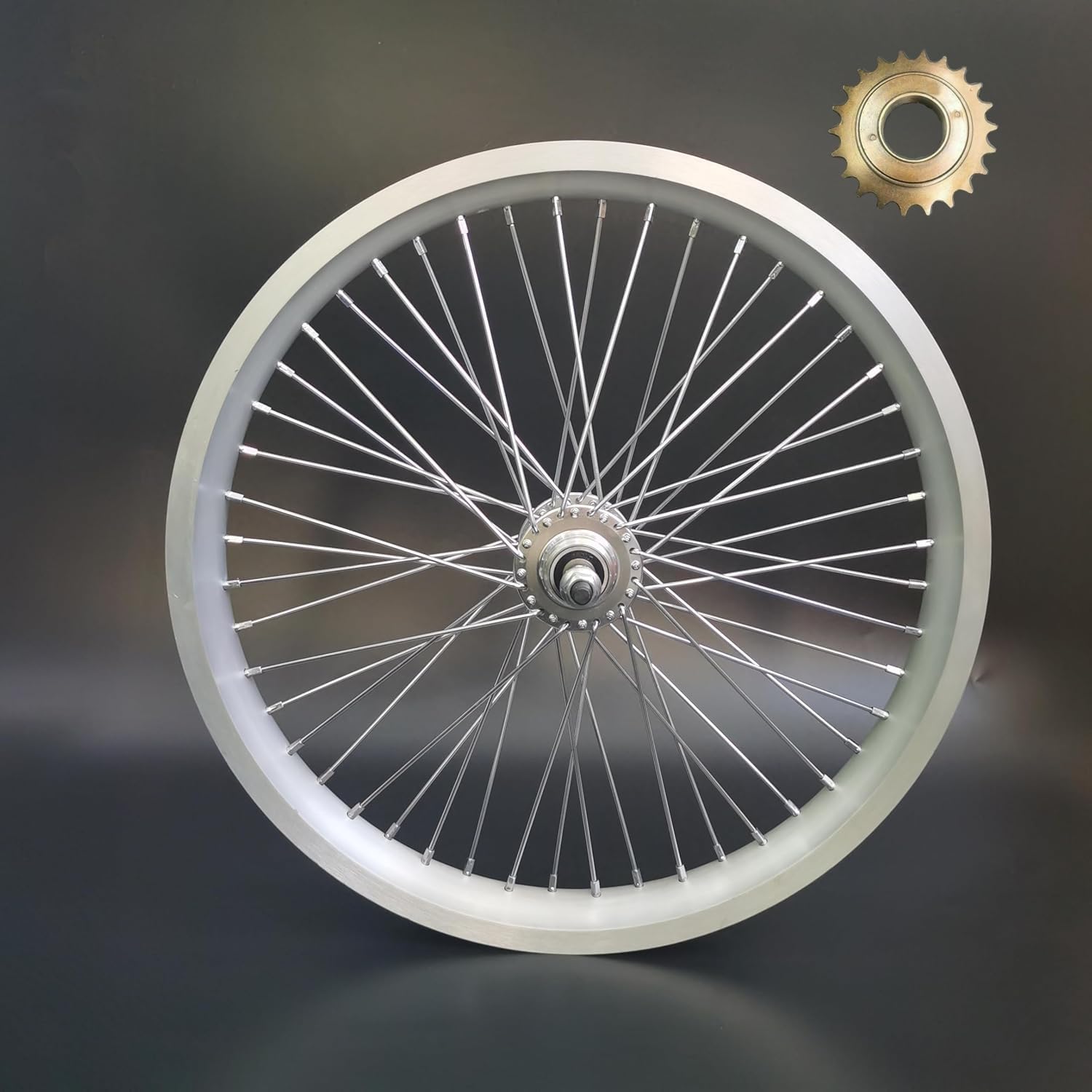 20" Heavy Duty Bicycle Rear Wheel 12G & 22T Flywheel, Double Wall Aluminum Alloy Bike Rim Silver Color