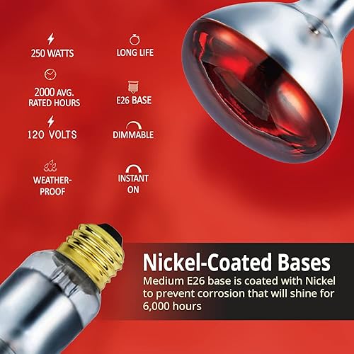 Miniatura 9 de BULBMASTER Lámpara de calor roja R40 de 250 vatios bombillas de inundación reflector infrarrojo incandescente base E26 paquete de 1