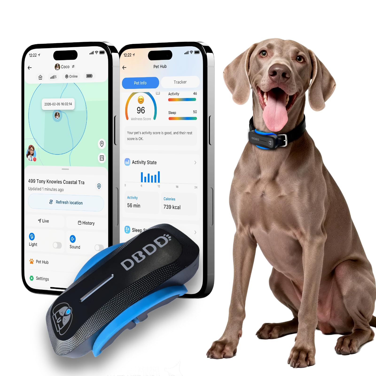 DBDD Localizzatore GPS AI per cani (18,1 kg+), posizione in tempo reale e gestione sanitaria veterinaria AI, recinzione elettronica, impermeabile, iOS e Android universale (nero)