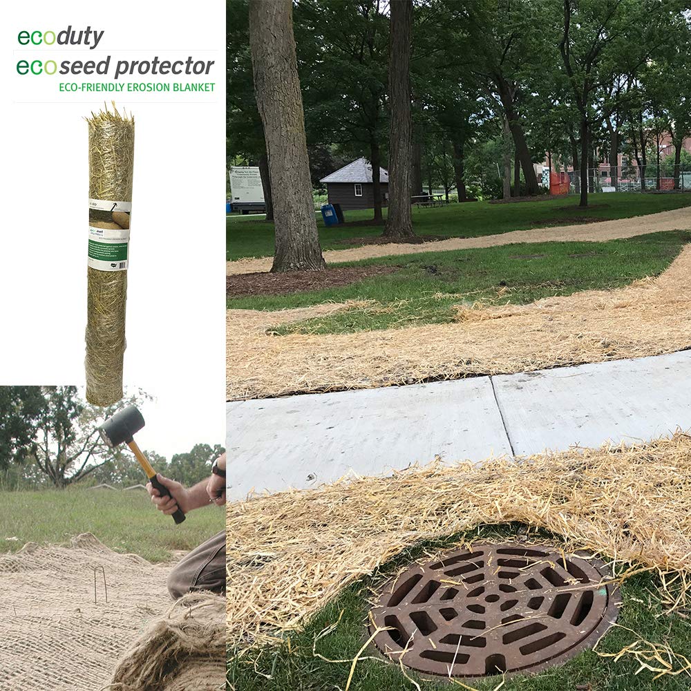 Ecoseed Protector 4' by 50' Contractor Grade Grass Seed Germination