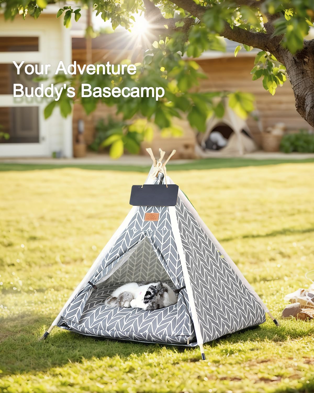 Tente tipi pour chat et chien, tente d'intérieur avec coussin, tente d'intérieur pour petits animaux de compagnie pour chiens et chats, cachette tipi confortable pour chiots, chatons et