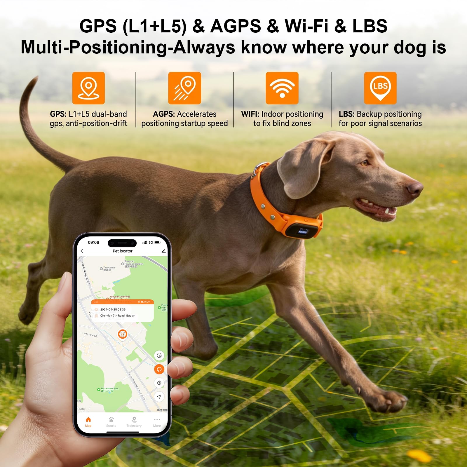 4G Echtzeit-Haustier-Tracker Dual-Band GPS Hundelokalisierer mit Anti-Verlust-Elektrozäunung, kostenlose App, Keine monatlichen Gebühren, verstellbarem Tracking-Halsband, Typ-C-Ladung, IP66