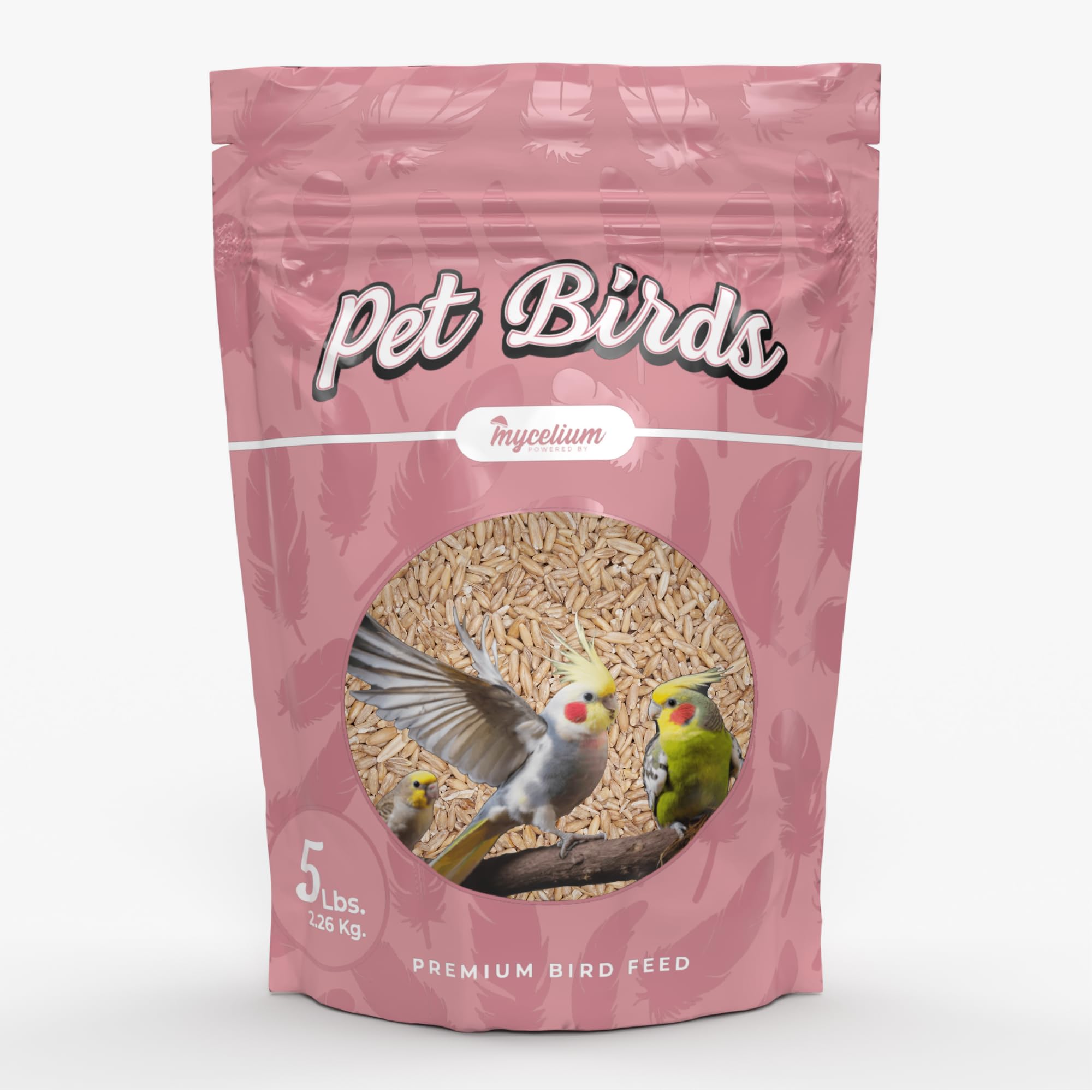 Mycelium Premium Oat Groats – Organic, Non-GMO, High Nutritional Value Bird Food for Pet Birds, Sourced from Local USA Farms, Sustainable Farming, 5 lbs