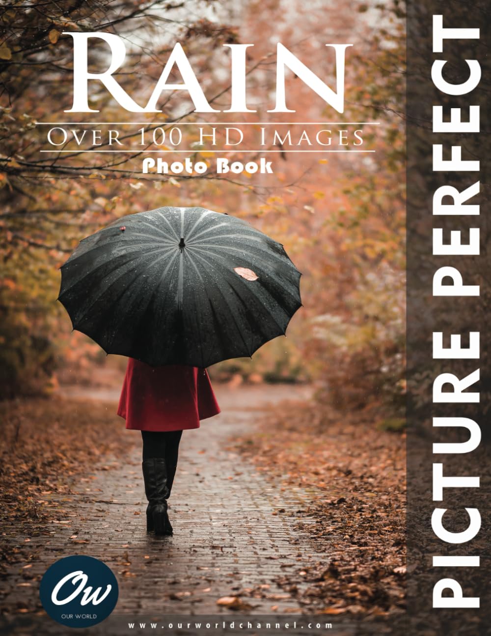 Rain: Perfect Picture Photo Book (Picture Perfect Photo Book)