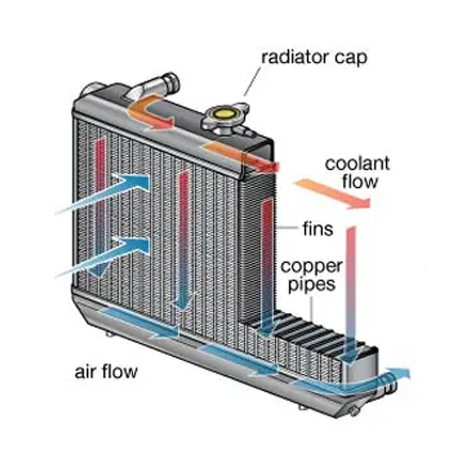 Bocchettone di Riempimento del Radiatore, ID Saldato Durevole 1,25 Pollici Sul Bocchettone di Riempimento del Radiatore Alluminio Resistente Al Calore Refrigerante Facile Aggiungere con Tappo