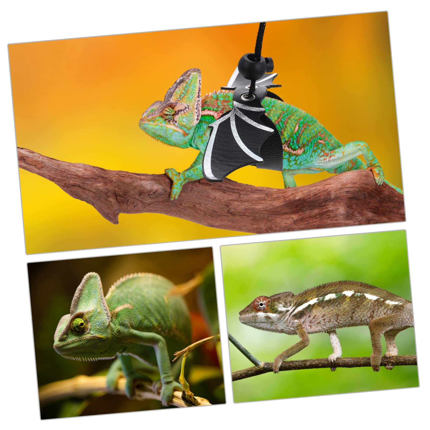 Housoutil 4juegos y Arnés Ajustable para Reptiles Sombrero De Cumpleaños Kit De para y para y Disfraces y Lazo