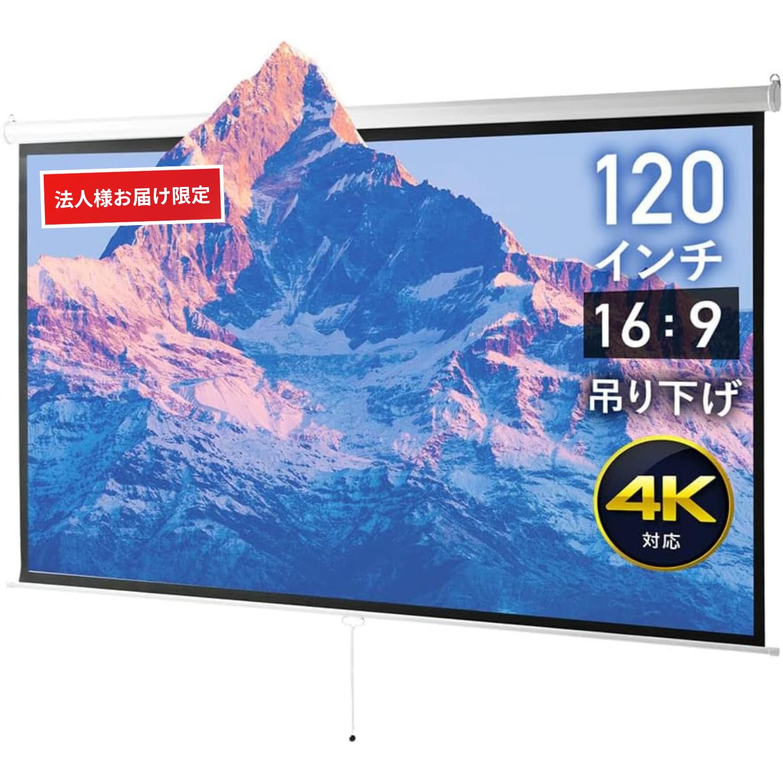 イーサプライ プロジェクタースクリーン 120インチワイド 16:9 Amazon | イーサプライ 【お届け先法人様限定】 プロジェクター