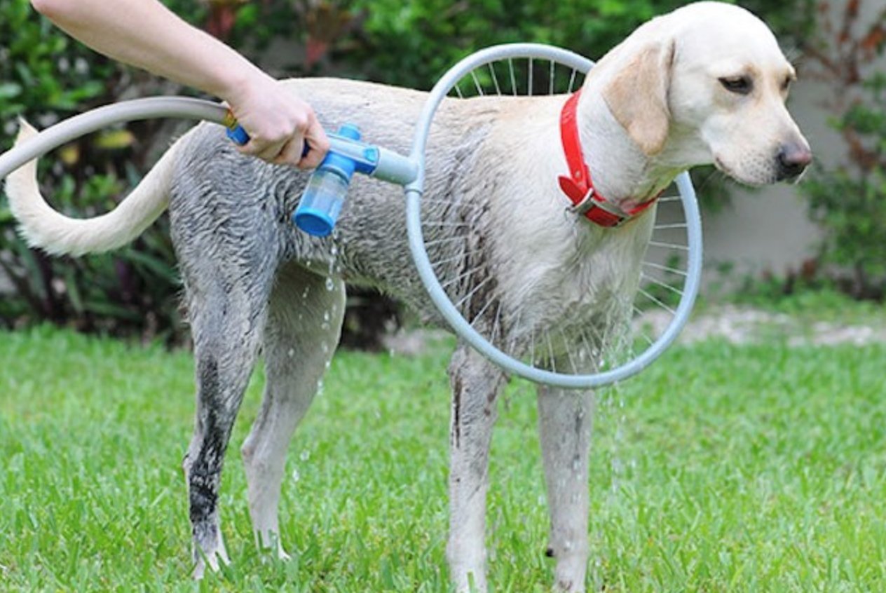360 Degree Dog Washer Tool, Ring-Shaped All-Around Pet Washing Tool.
