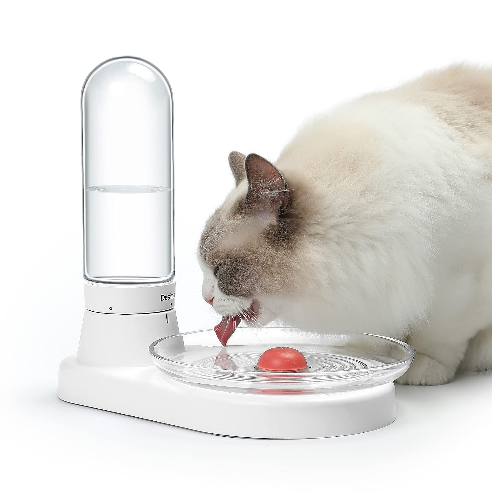 Buy Cat Water Fountain,Water Supply by Gravity Design,NonElectric