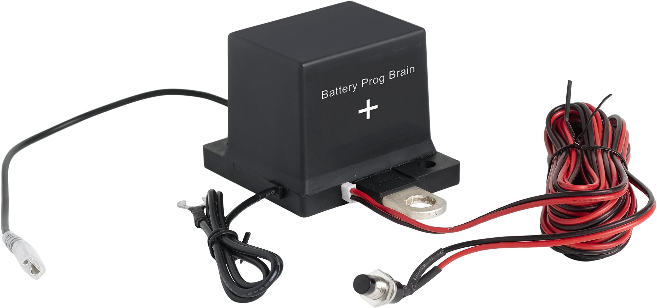 Battery Brain Gold (Type IV)