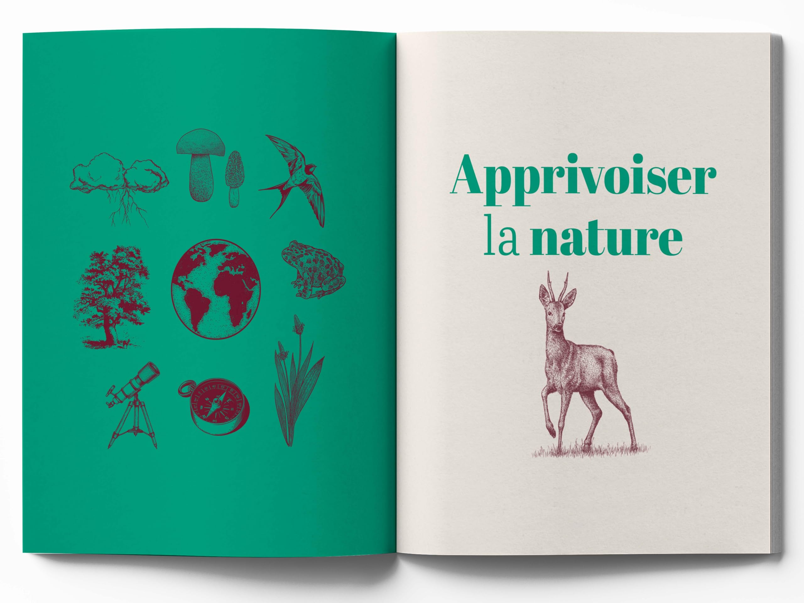 Traité Rustica des usages et savoir-faire de nos campagnes