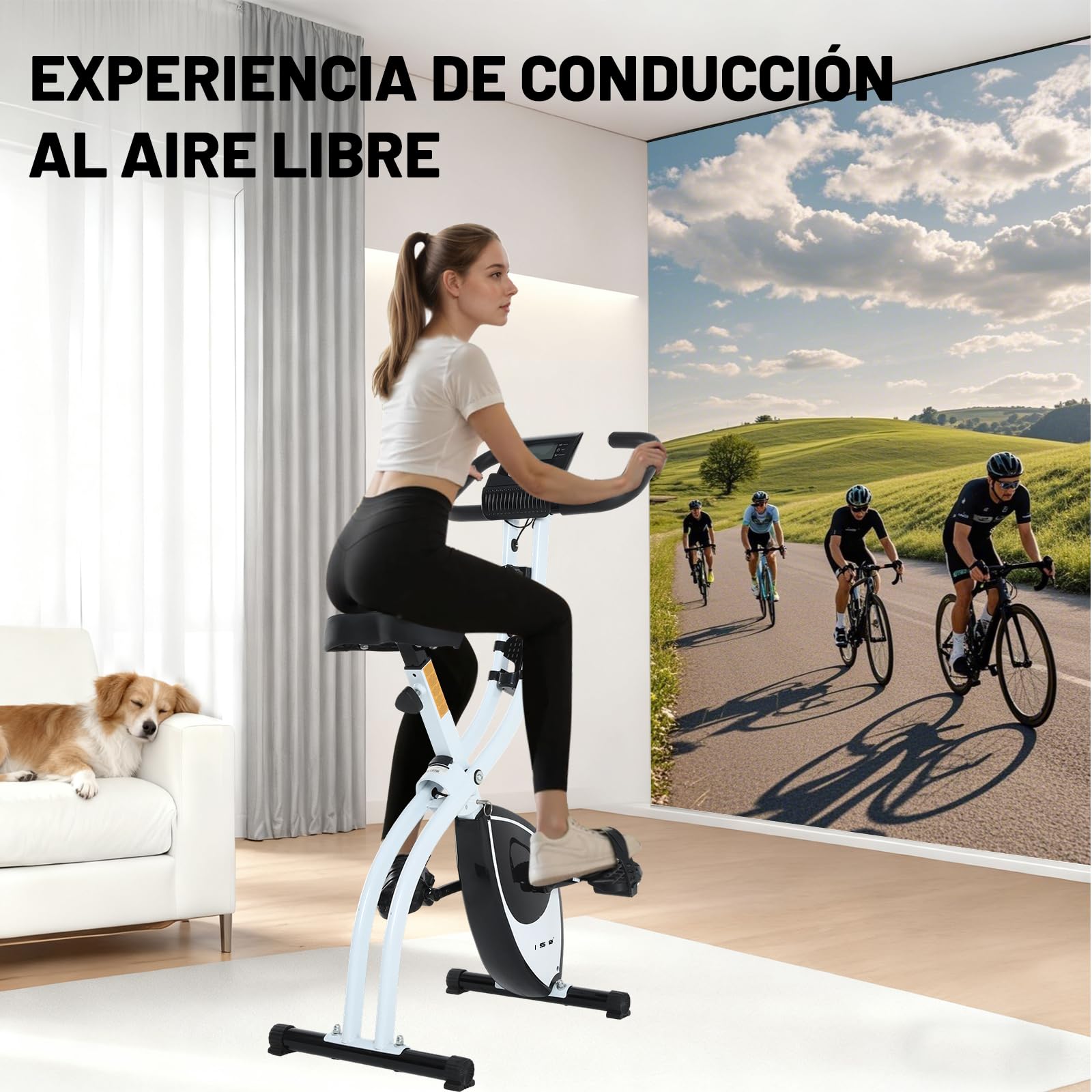 ISE Bicicleta estática plegable Cardio Training Fitness 8 niveles de resistencia magnética pantalla LCD Entrenamiento con sensor de frecuencia cardiaca, SY-810L