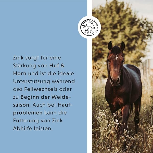 Annimally Zink für Pferde - Zink Pferd hochdosiert Pellets (700g) - Unterstützt beim Fellwechsel Pferd - Mit Schwarzkümmel, Zeolith und Bierhefe für Haut, Haare & Hufe - Spurenelemente Pferd - 4