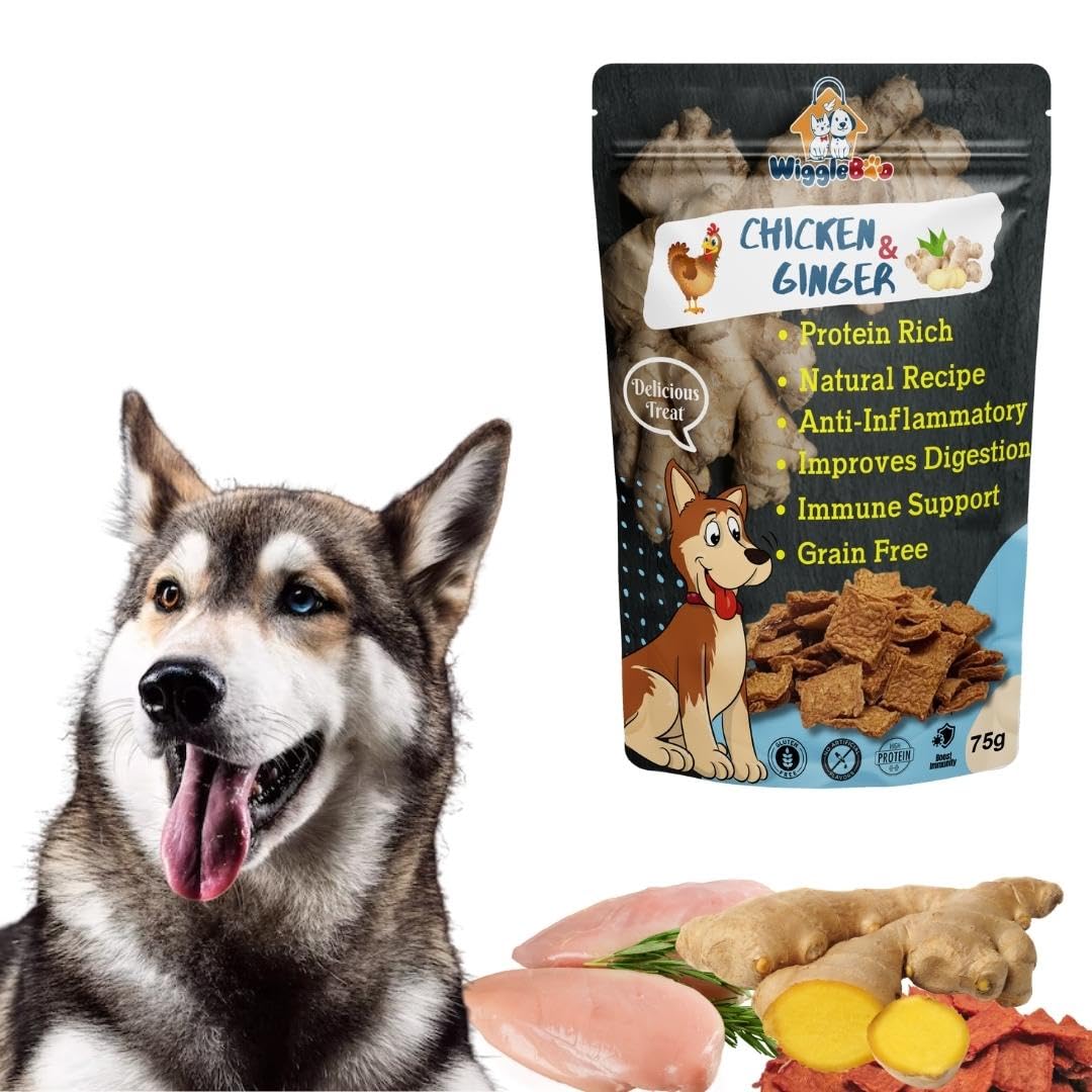 WiggleBoo Chicken & Ginger Dog Treat | Protein Rich | Anti-Inflammatory | Crunchy Healthy Snacks | 75g (B0BB6XLKXZ) Amazon Price History, Amazon Price Tracker