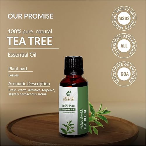 Miniatura 3 de Aceite esencial de árbol de té, 4.0 fl oz (4 onzas líquidas), aceite esencial 100% puro, natural, sin diluir, sin cortar, grado terapéutico