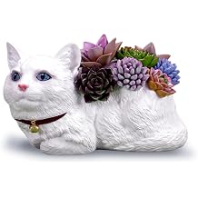 Adorable Resin Cat with 9 Resin Succulents, Ideal Gift for Cat Lovers, Retirement, House Warming, Sympathy, Memorial Etc.