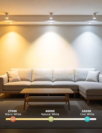 BR30 LED Light Bulbs, Color Changing LED Bulbs with Remote, 2 Pack