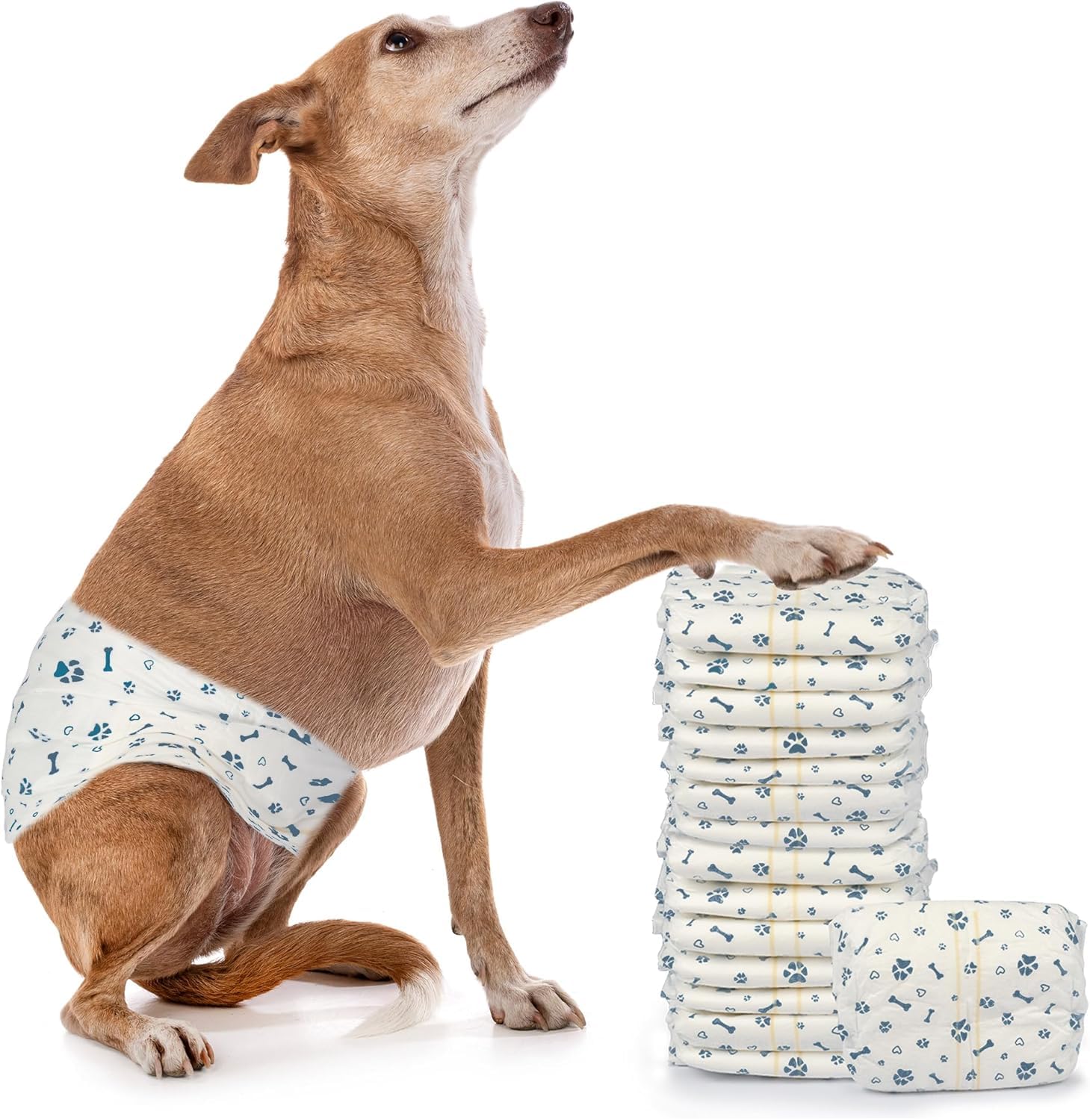 LeapSheep Pañales para perros (50, M)