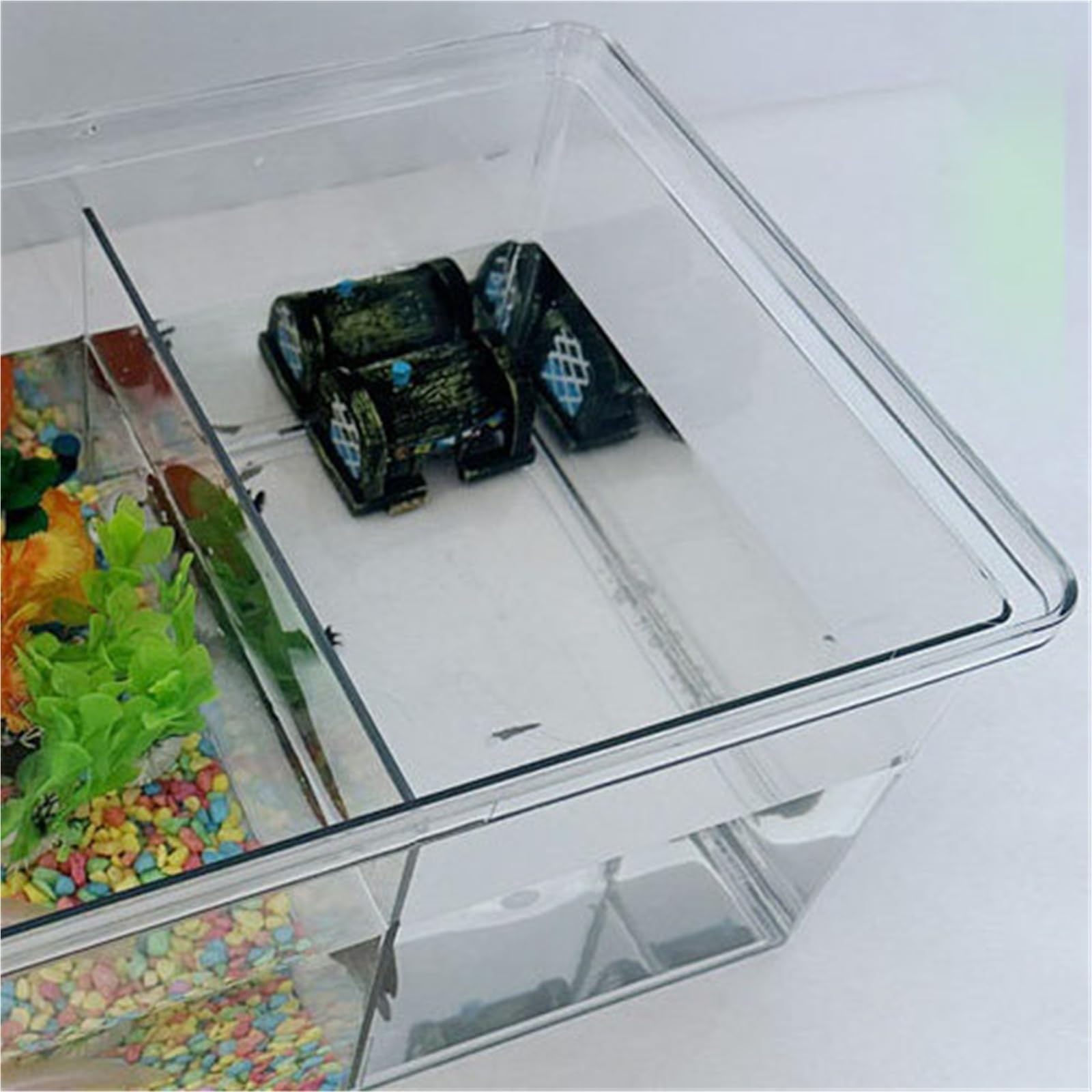 la Caja de alimentación de Reptiles, Tanque De Alimentación Transparente con Partición Terrario Habitat 36x26x20CM