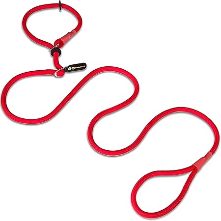 Retrieverleine Mit Zugstopp - Hundeleine Und Halsband In Einem 150cm