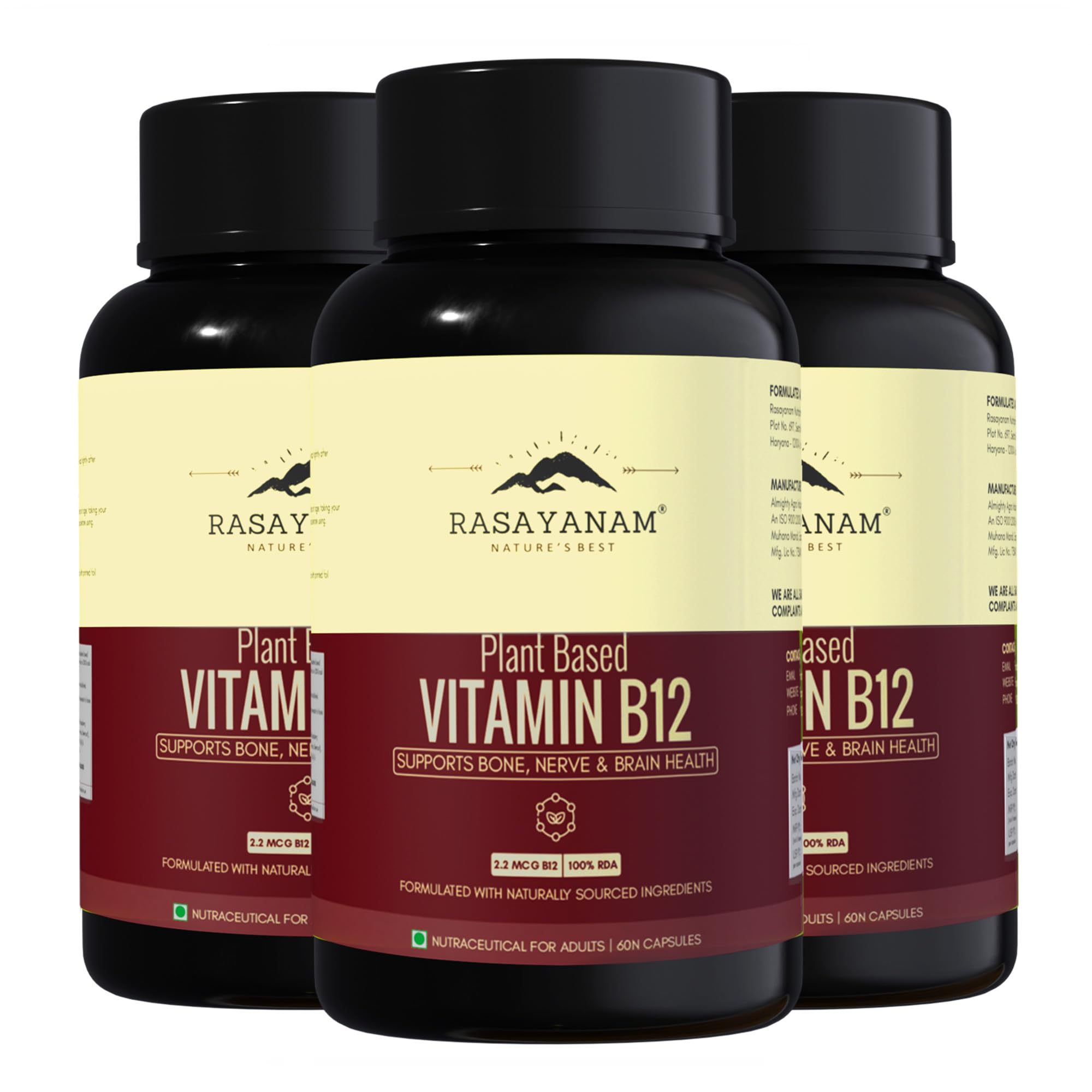 Rasayanam Plant-Based Vitamin B12 | 100% Vegan Vitamin B12 | Enriched with 7 Superfoods like Moringa, Amla & More | Supports Energy, Nerve Health & Brain Function | 180 Veg Capsules-image-29