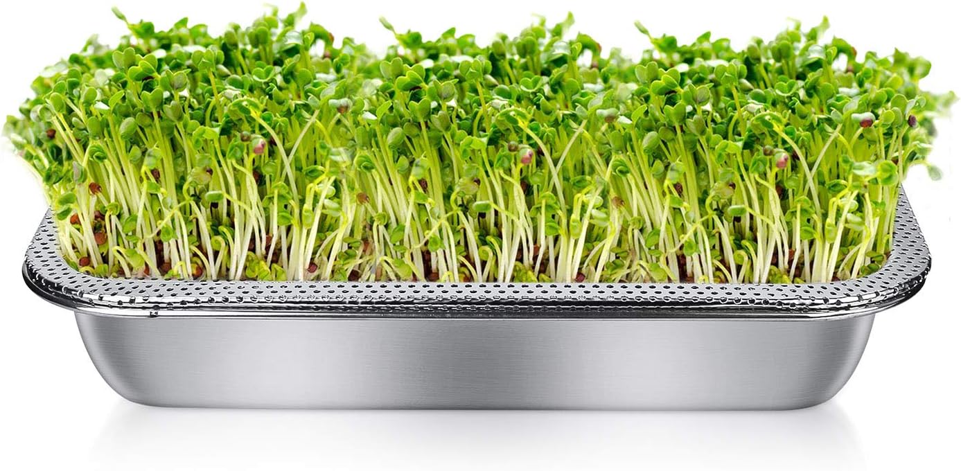 Stainless Steel Seed Sprouter Tray Kit - Organic Bean Sprout Grower For Indoor Gardening