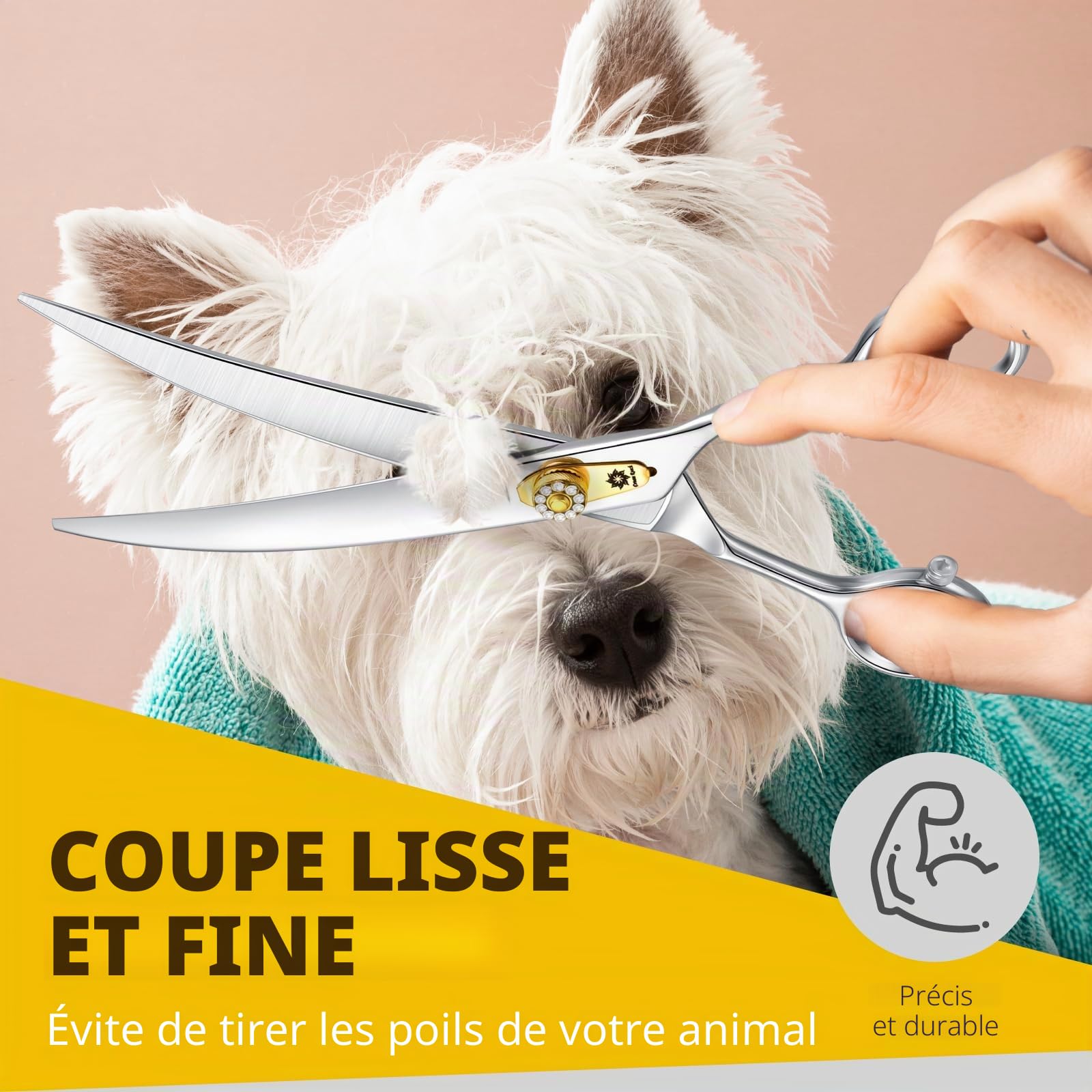 Dream Reach Ciseaux pour Chiens 8 Pouces - Courbes à Fourrure Avec Poignée Ergonomique, 440C Acier Inoxydable pour Couper Chats et Chiens